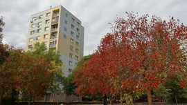 Szeged