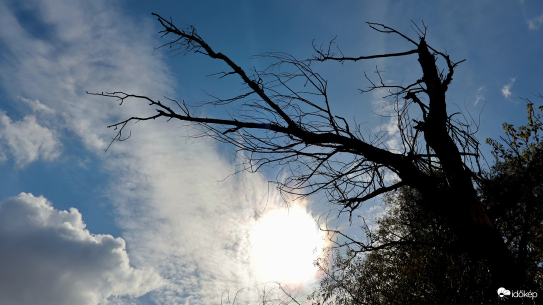 Körtvélyes délelőtt.