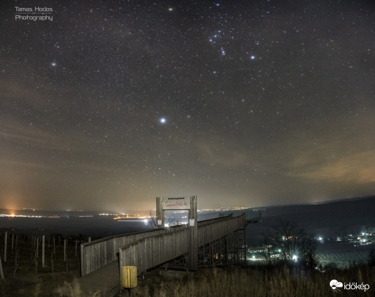 Weinblick Aussichtsplattform