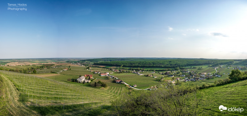 Weinblick Aussichtsplattform