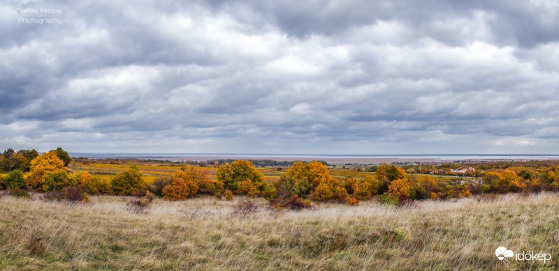 Őszi borongós Fertő tavi panoráma