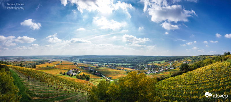 Weinblick Aussichtsplattform
