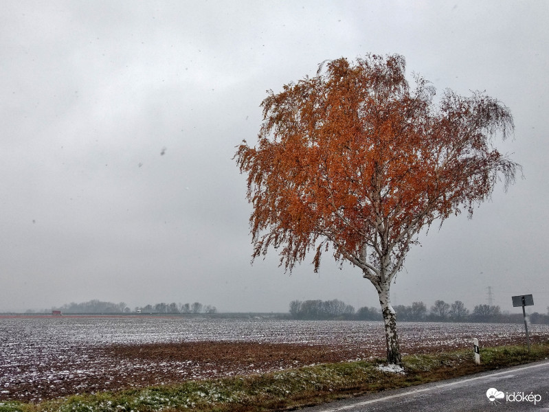 Telen meg az arnyekok is masok... ?