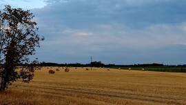 Tokaj