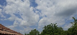 Vésztő