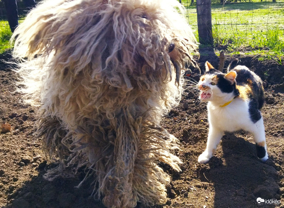 Néha azért békén hagyhatnál!