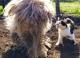 Néha azért békén hagyhatnál!