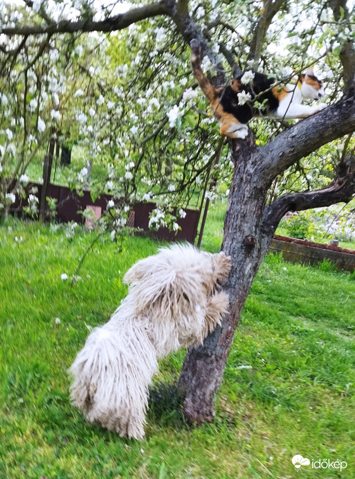 Még mindig legjobb barátok!