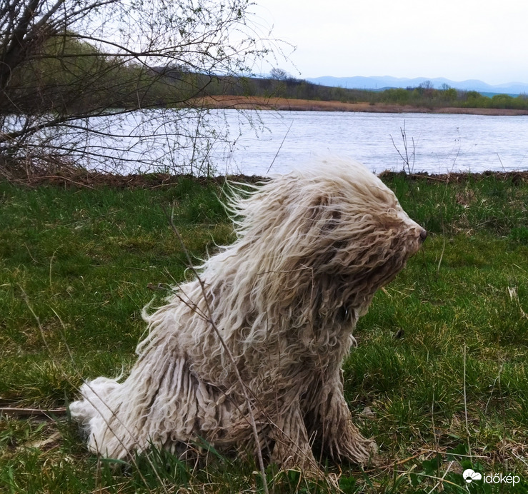 Szeles időnk volt ma