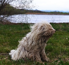 Szeles időnk volt ma