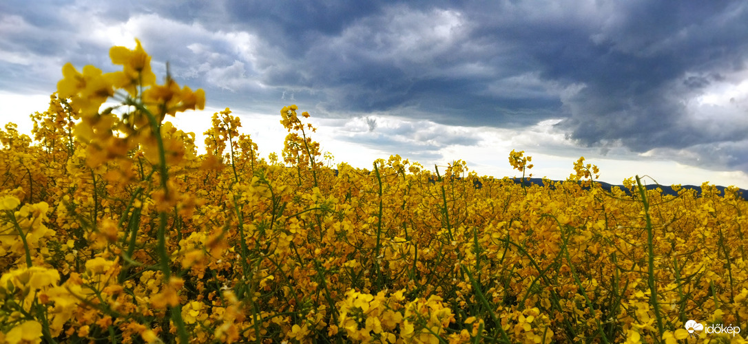Felfő van, eső nincs