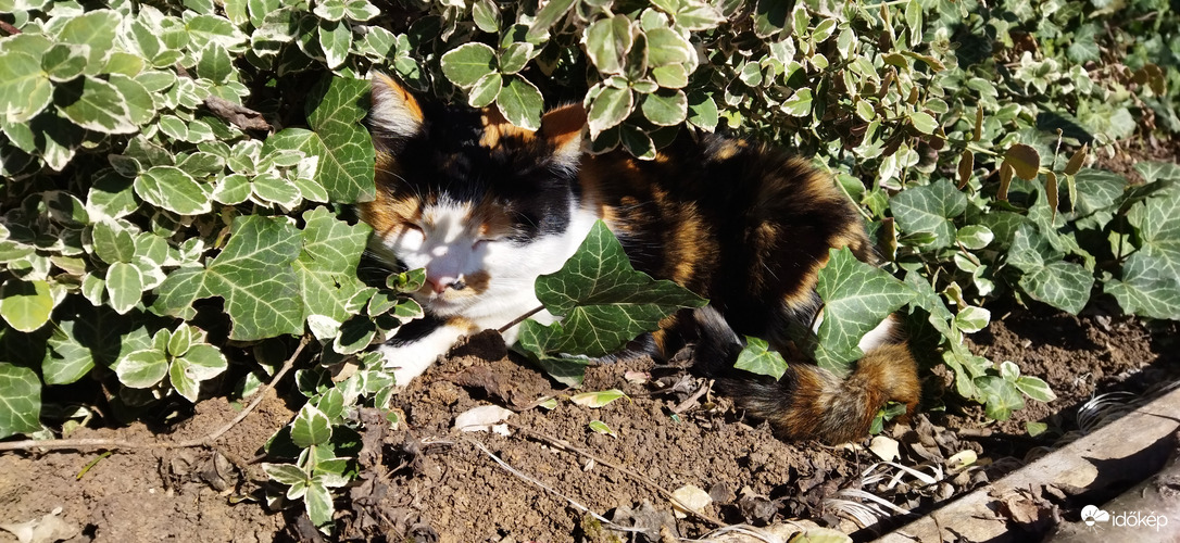 Valakinek nagyon jó helye van!