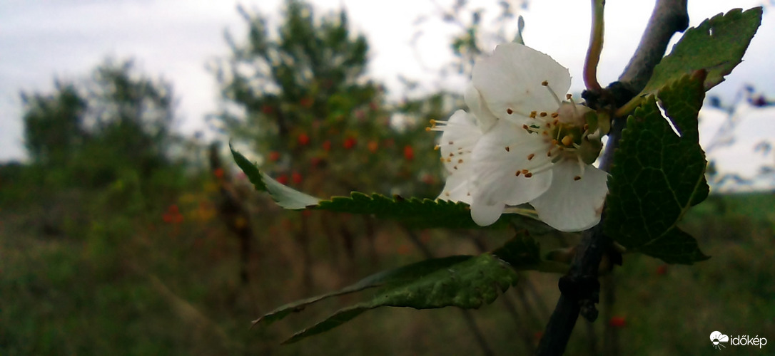 Milyen évszak is van?
