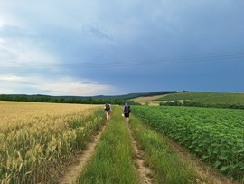 Baktakék