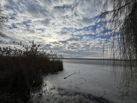 Kis-Balaton 