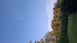 Balatonszárszó