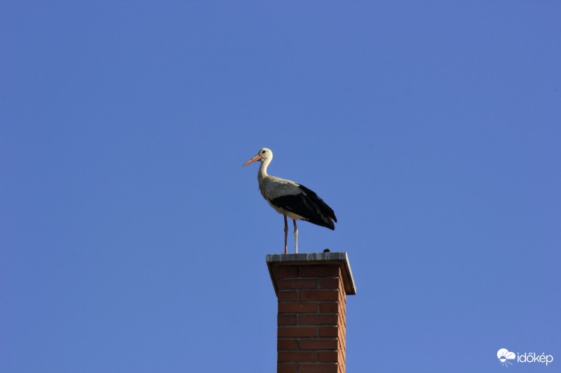 Új helyet talált magának :-)