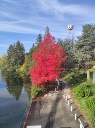 Magny-le-Hongre