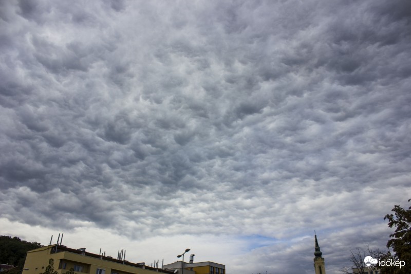 Altocumulus opacus mamma