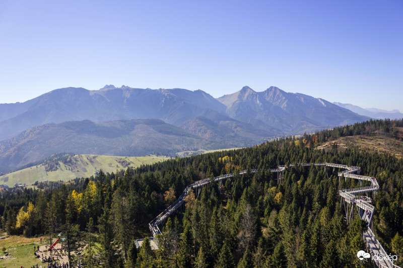 Lombkorona tanösvénynél 