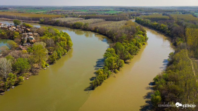A Tisza és a Maros találkozása Szegednél
