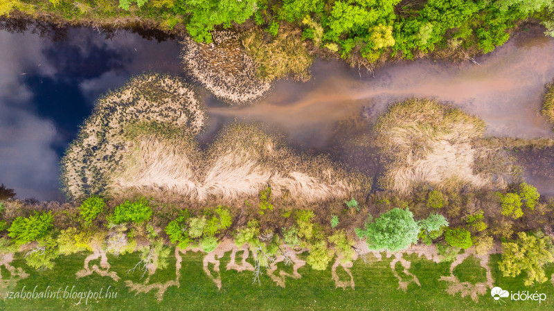 Tavaszi színkavalkád