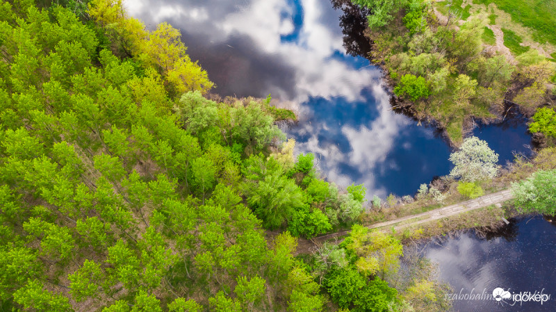 Tavaszi tükörkép.