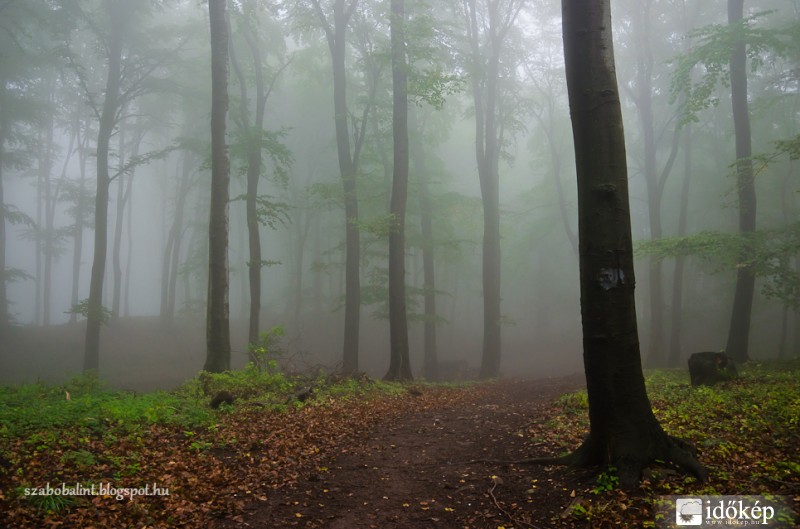 Őszi ködös Mátra.