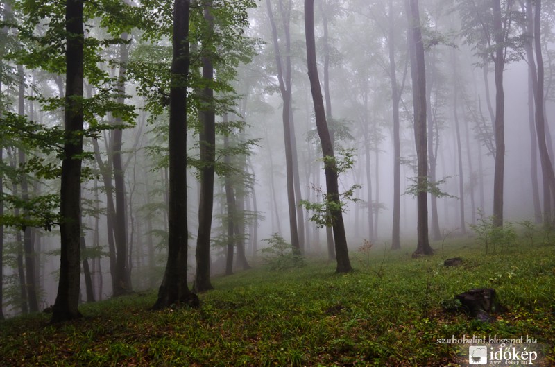 Őszi ködös Mátra.