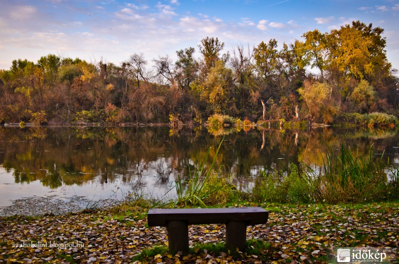 Ősz a Mártélyi holtágnál.