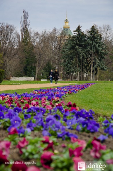 Tavasz a Margit-szigeten