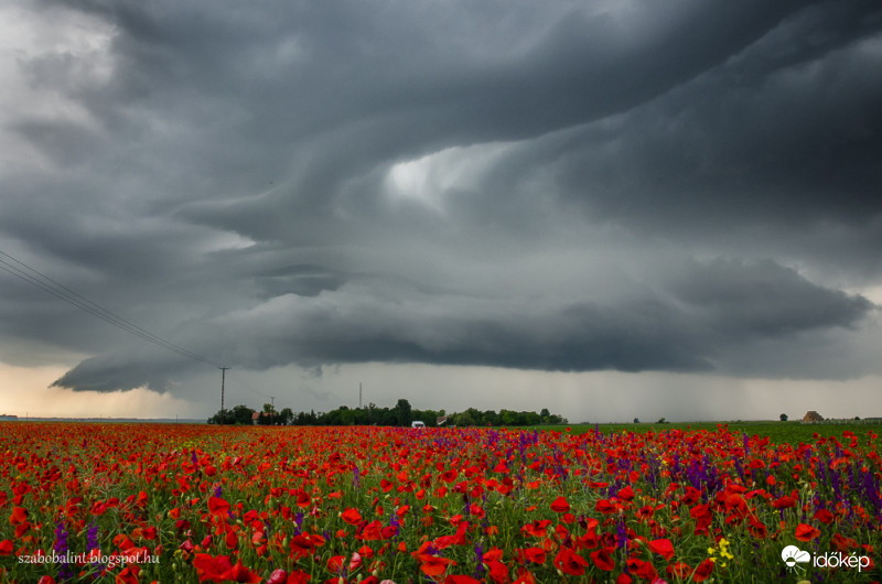 Vihar érkezik a virágos Alföldre.
