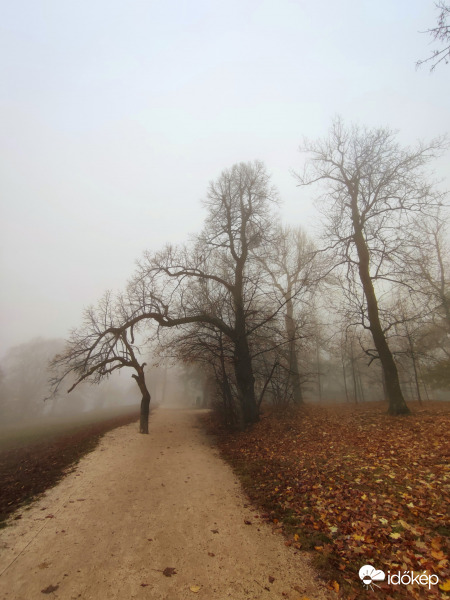 Ködös reggel