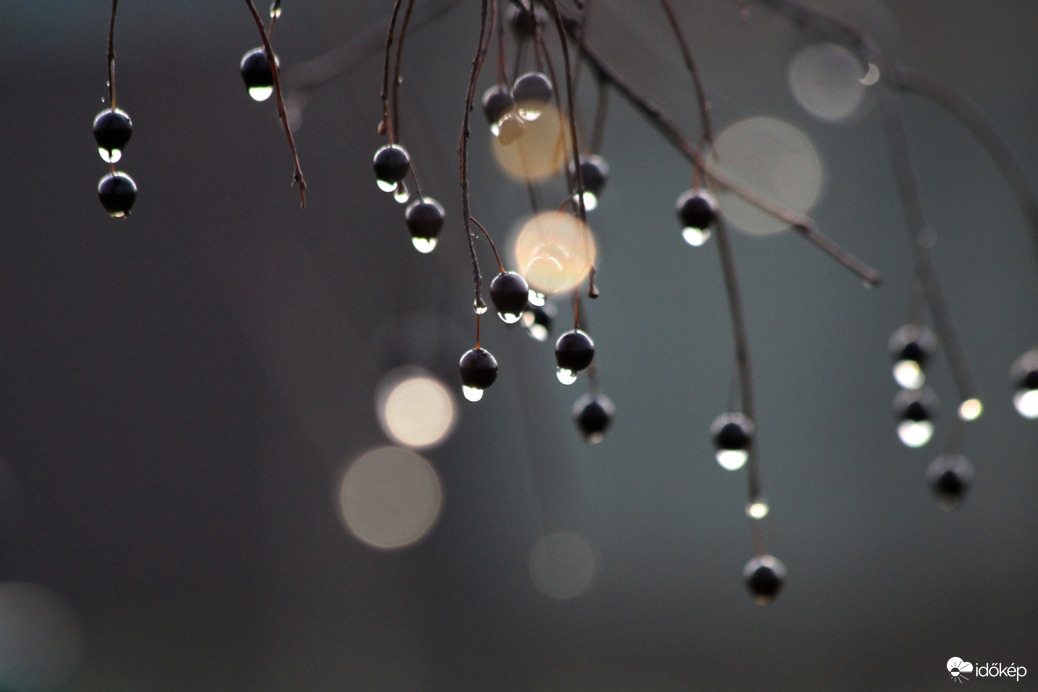 Reggeli "csillogás" 