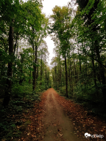 Keresztúri-erdei tanösvény