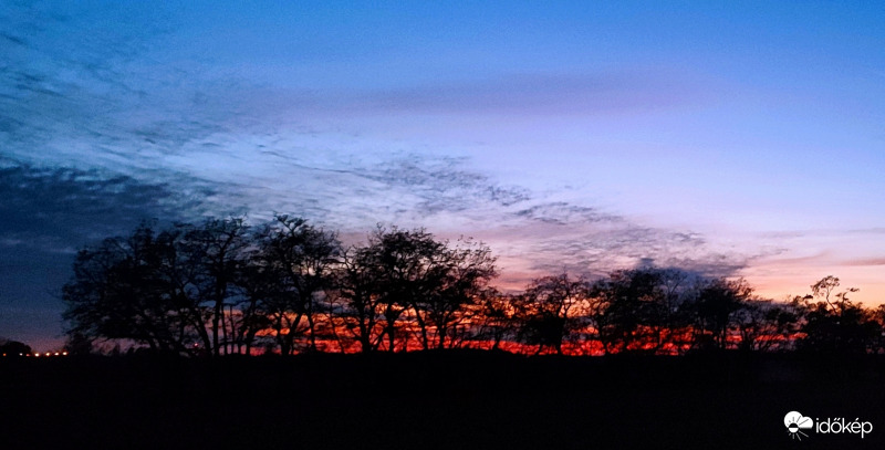 Naplemente "fák" mögött