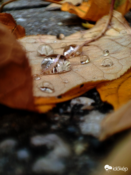 Esőcseppes
