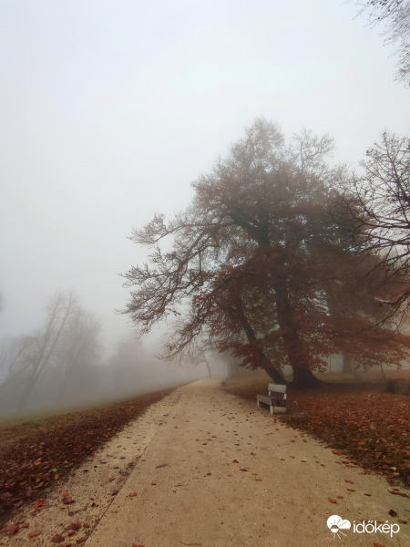 Ködös reggel