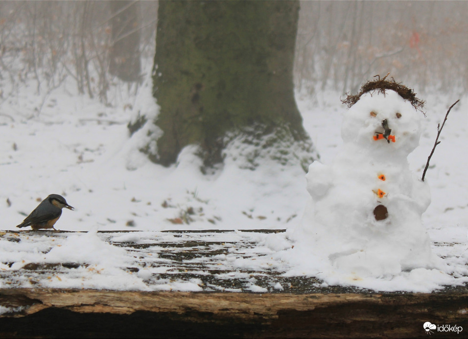 "Ismerkedés" a hóemberrel