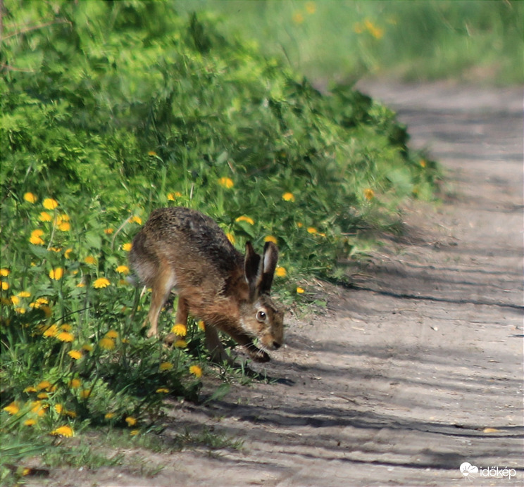 Húsvéti hangulatban :)
