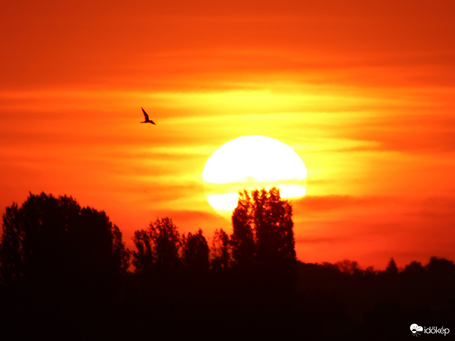 Napkelte Balatonföldváron 