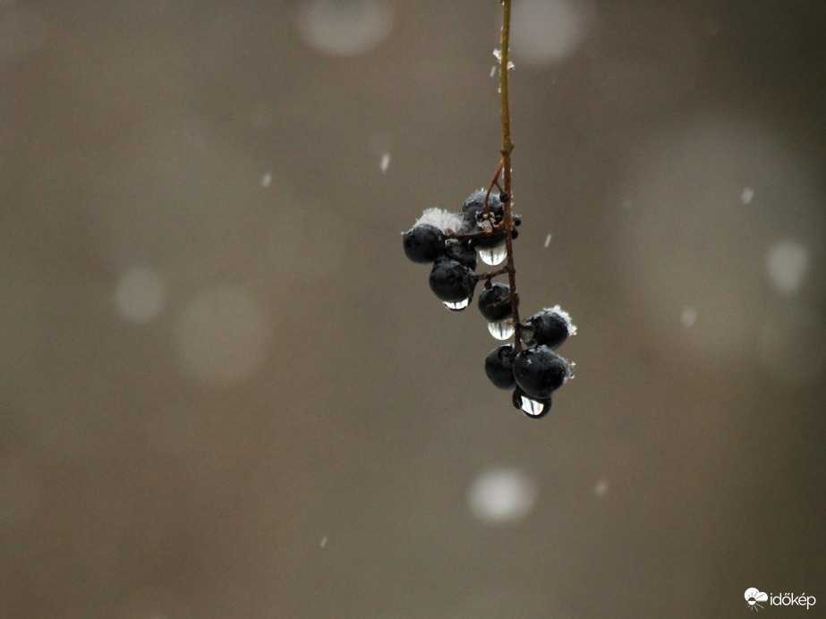 Havazás utáni olvadás 