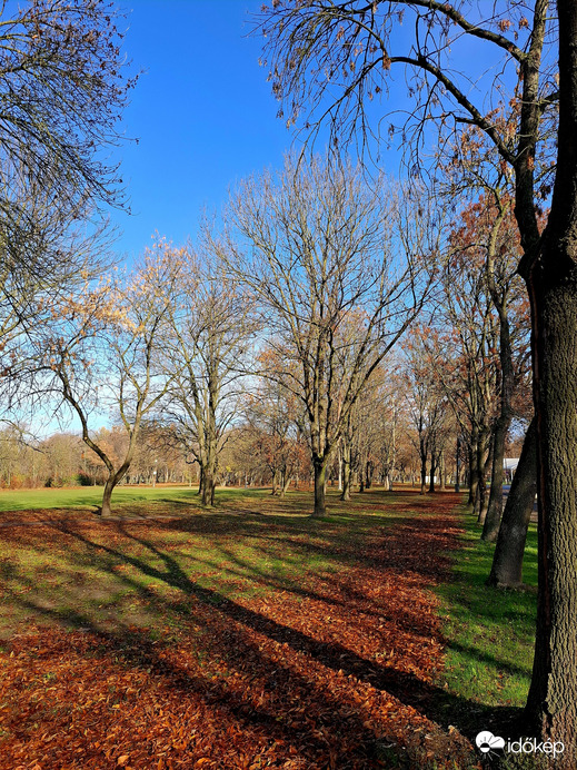 Hajógyári szigeten Óbuda