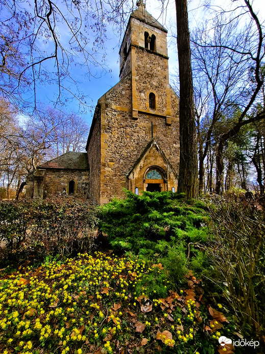 Séta a Margitszigeten 