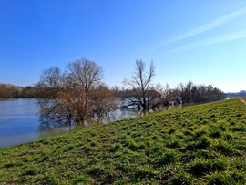 Pünkösdfürdői gát 