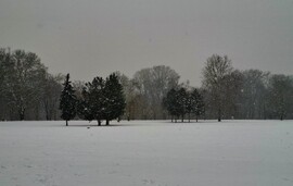 Hajógyári sziget szakad a hó 