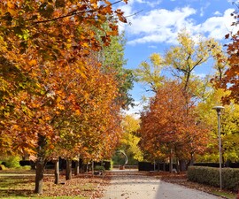 Színkavalkád a Graphisoft Parkban 