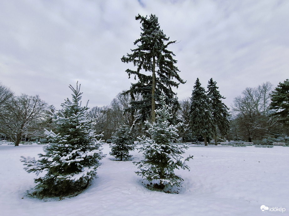 Margitszigeti séta a hóban 