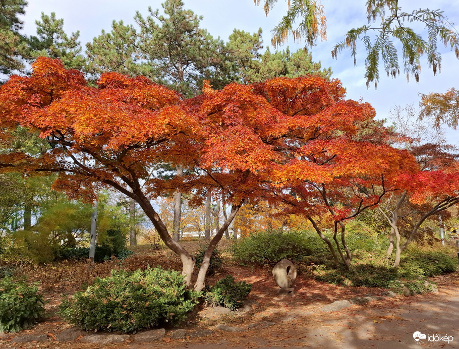 Margitsziget, Japánkert 