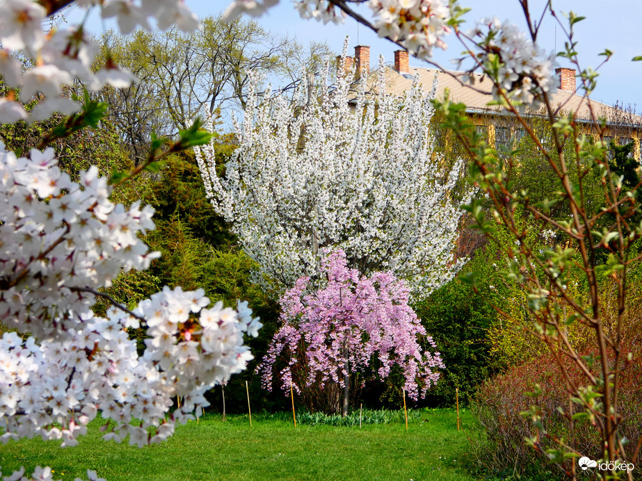 Budai Arborétum 